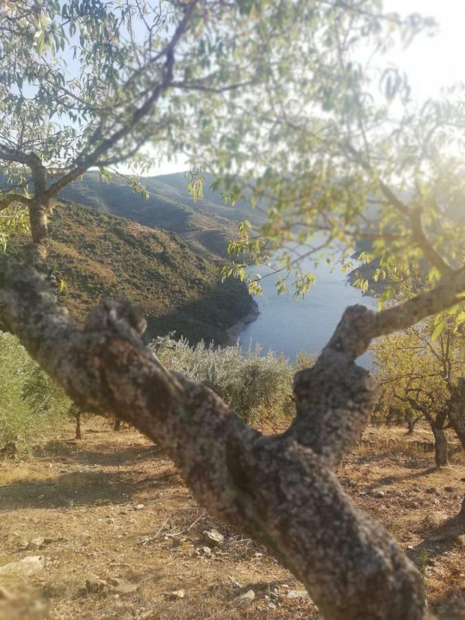 Casas De Xisto Villa Mogadouro  Eksteriør bilde